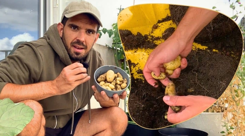 Potato中文版如何屏蔽陌生人