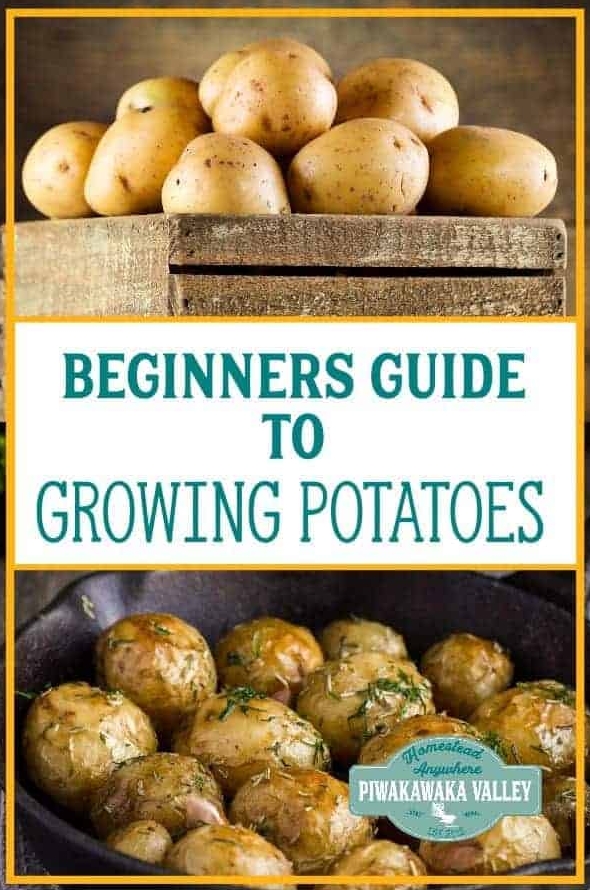 Potato下载文件损坏修复方法